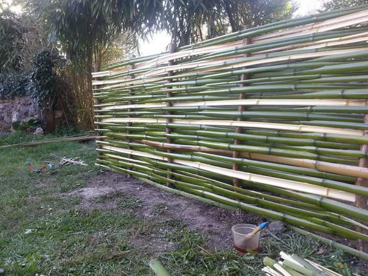 Réalisation d'un pare-vue en bambous lattage horizontal